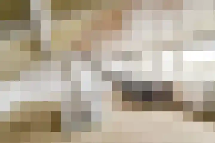 Rottekade 165 Bergschenhoek thumbnail 19
