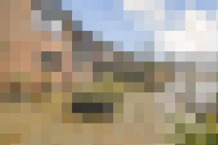 Rottekade 165 Bergschenhoek thumbnail 27