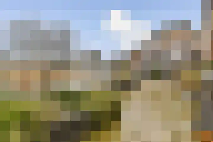 Rottekade 165 Bergschenhoek thumbnail 28