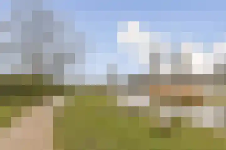 Rottekade 165 Bergschenhoek thumbnail 30