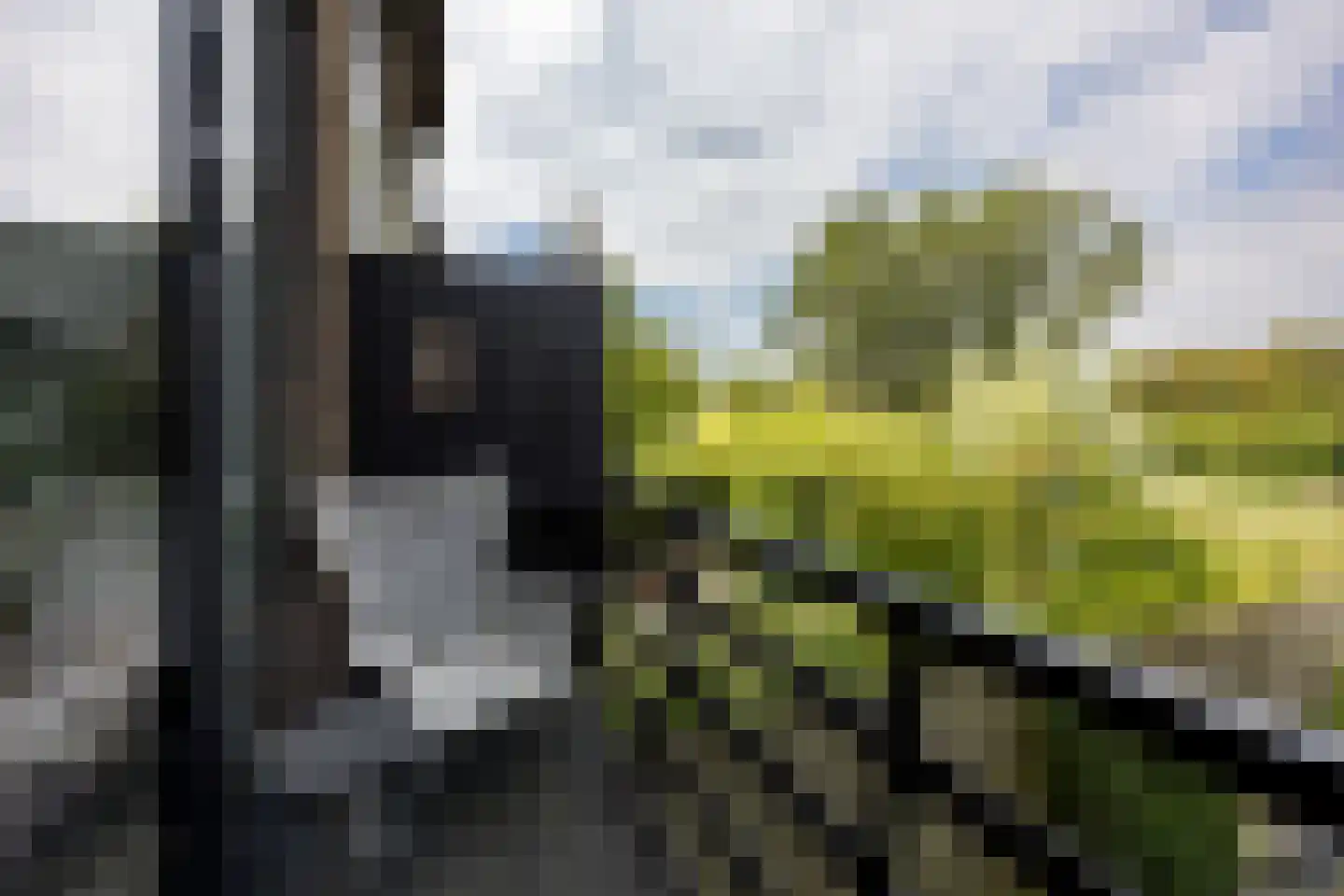 Rottekade 167 Bergschenhoek thumbnail 19