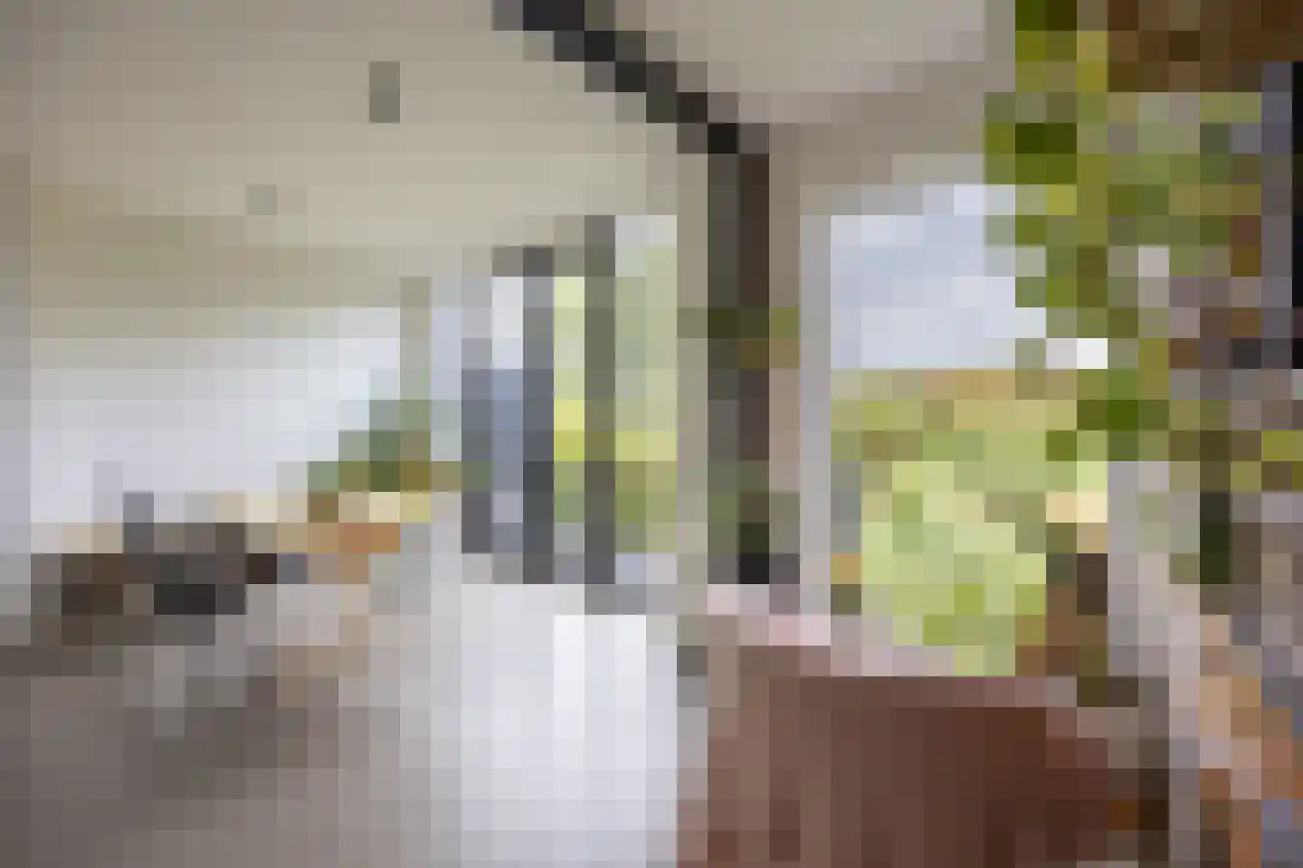 Rottekade 167 Bergschenhoek thumbnail 22
