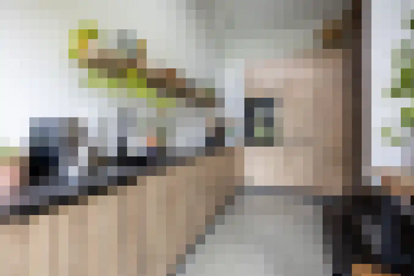 Rottekade 167 Bergschenhoek thumbnail 27