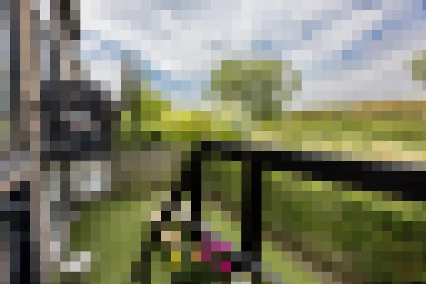 Rottekade 167 Bergschenhoek thumbnail 29