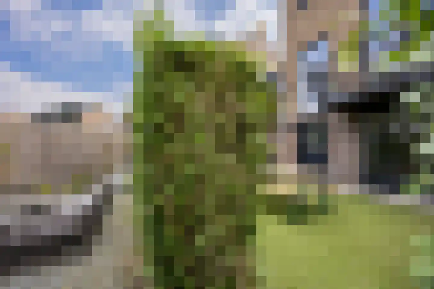 Rottekade 167 Bergschenhoek thumbnail 30