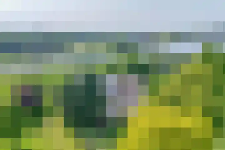 Rottekade 21 b in Zevenhuizen