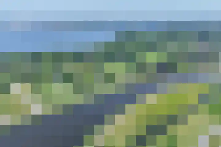 Rottekade 21 b Zevenhuizen thumbnail 11