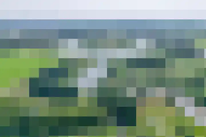 Rottekade 21 b Zevenhuizen thumbnail 12
