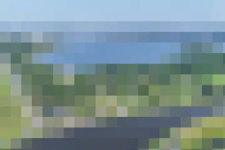 Rottekade 21 b Zevenhuizen thumbnail 14