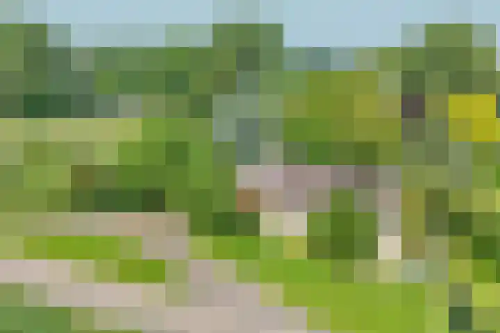 Rottekade 21 b Zevenhuizen thumbnail 15