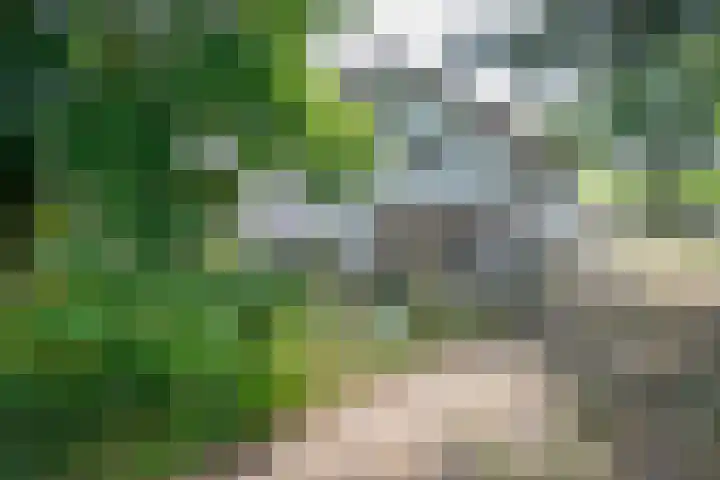 Rottekade 21 b Zevenhuizen thumbnail 17