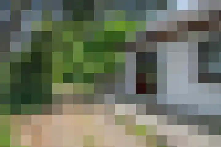 Rottekade 21 b Zevenhuizen thumbnail 18