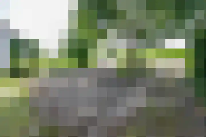 Rottekade 21 b Zevenhuizen thumbnail 19