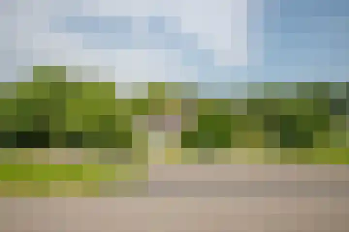 Rottekade 21 b Zevenhuizen thumbnail 22