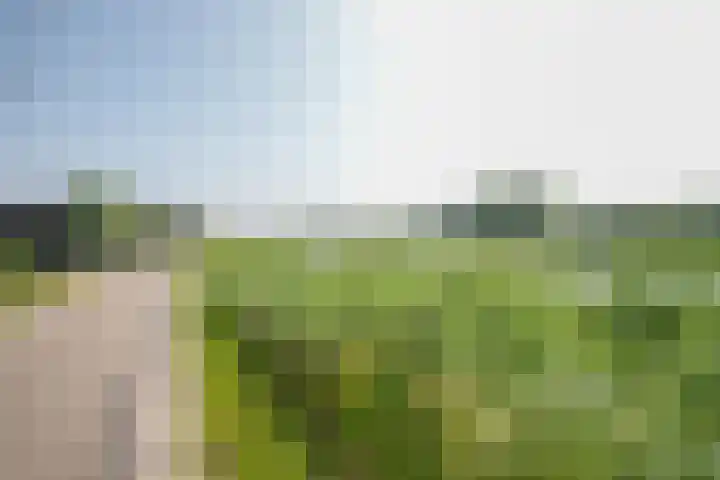 Rottekade 21 b Zevenhuizen thumbnail 23