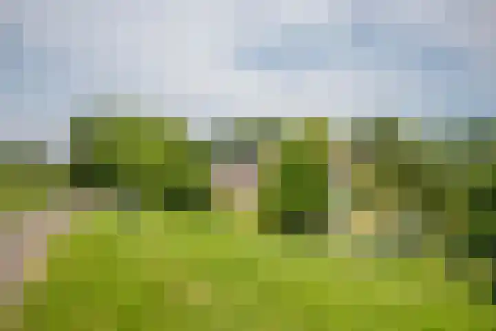 Rottekade 21 b Zevenhuizen thumbnail 24