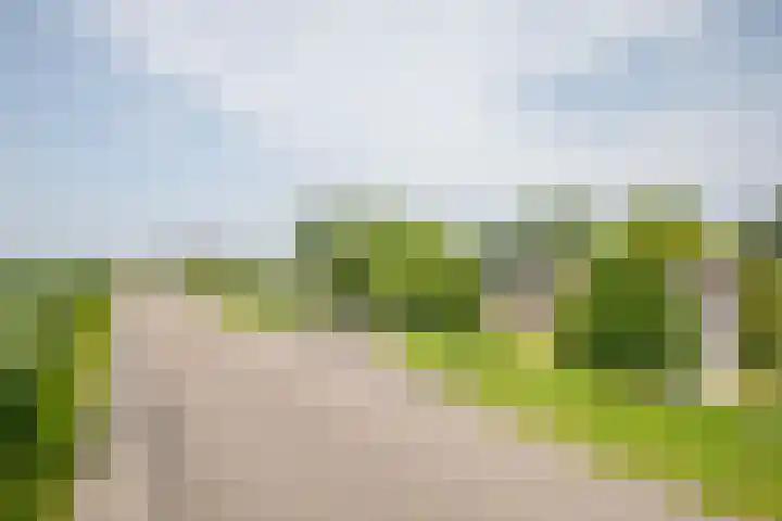 Rottekade 21 b Zevenhuizen thumbnail 25