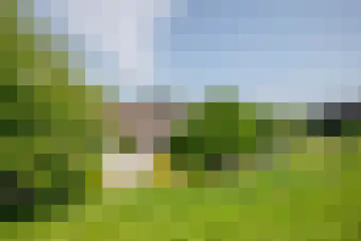 Rottekade 21 b Zevenhuizen thumbnail 26