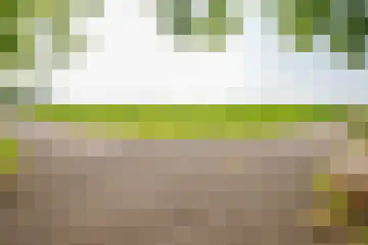 Rottekade 21 b Zevenhuizen thumbnail 27