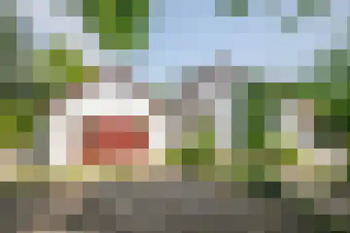 Rottekade 21 b Zevenhuizen thumbnail 28