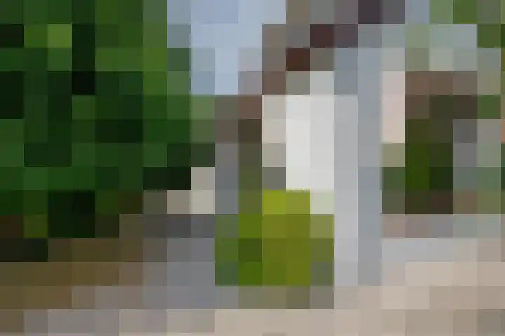 Rottekade 21 b Zevenhuizen thumbnail 31
