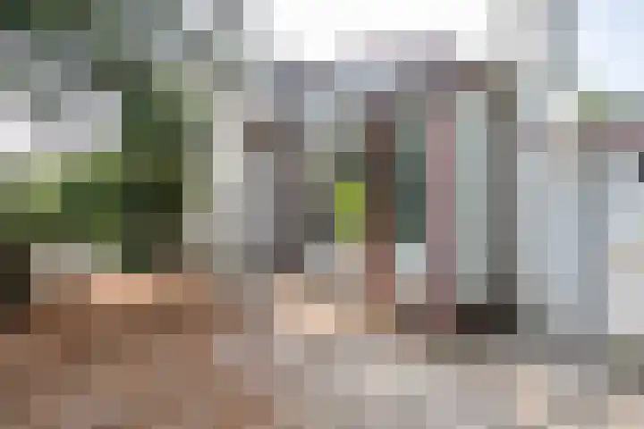 Rottekade 21 b Zevenhuizen thumbnail 32