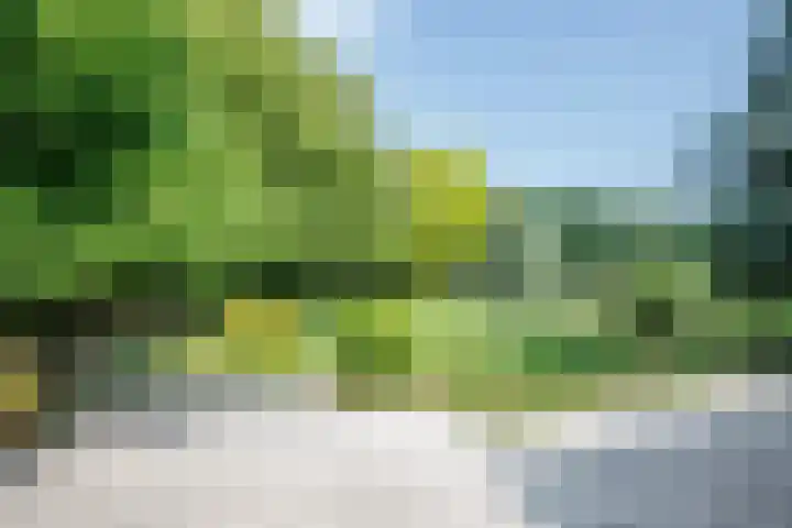 Rottekade 21 b Zevenhuizen thumbnail 35