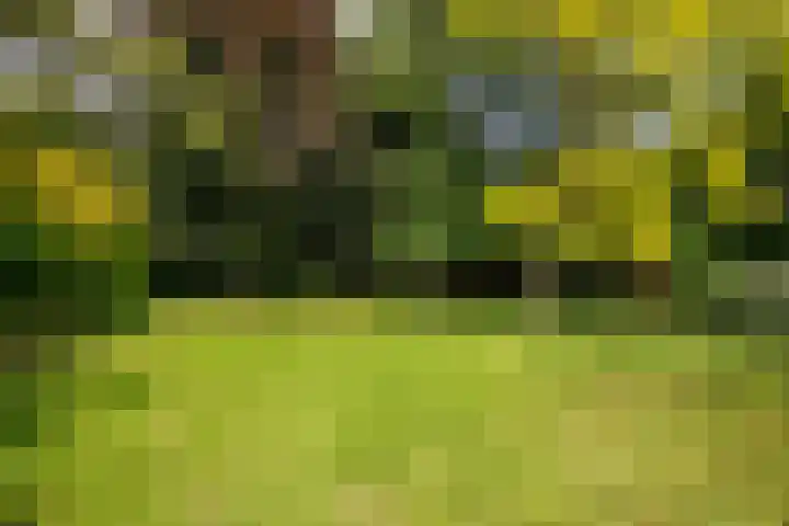 Rottekade 21 b Zevenhuizen thumbnail 37