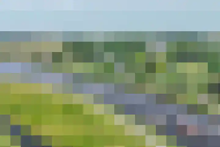 Rottekade 21 b Zevenhuizen thumbnail 4