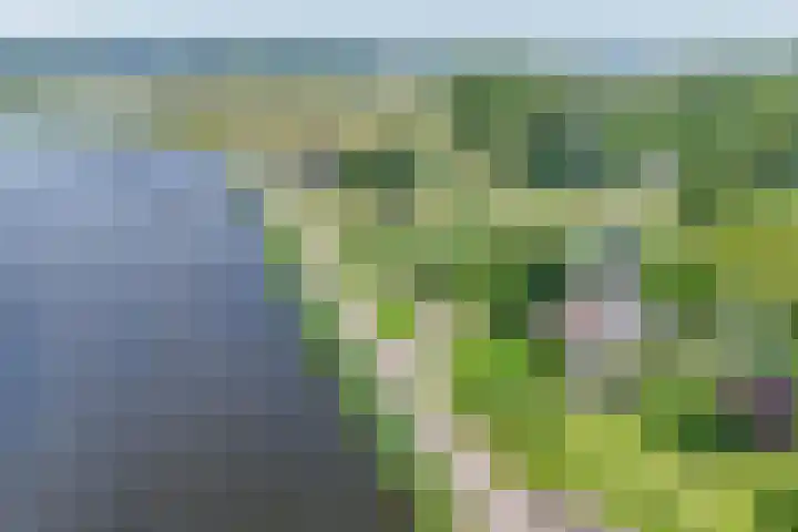 Rottekade 21 b Zevenhuizen thumbnail 6