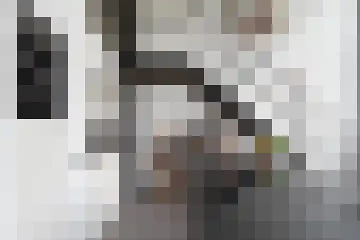 Rottekade 210 Bergschenhoek thumbnail 14