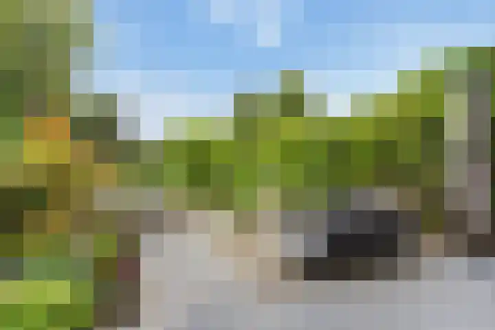 Rottekade 210 Bergschenhoek thumbnail 25