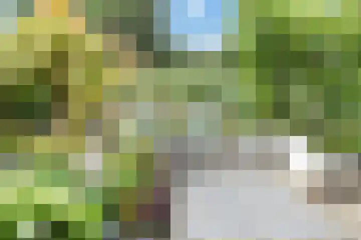 Rottekade 210 Bergschenhoek thumbnail 27