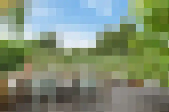 Rottekade 210 Bergschenhoek thumbnail 30