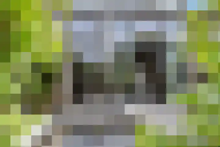 Rottekade 210 Bergschenhoek thumbnail 34