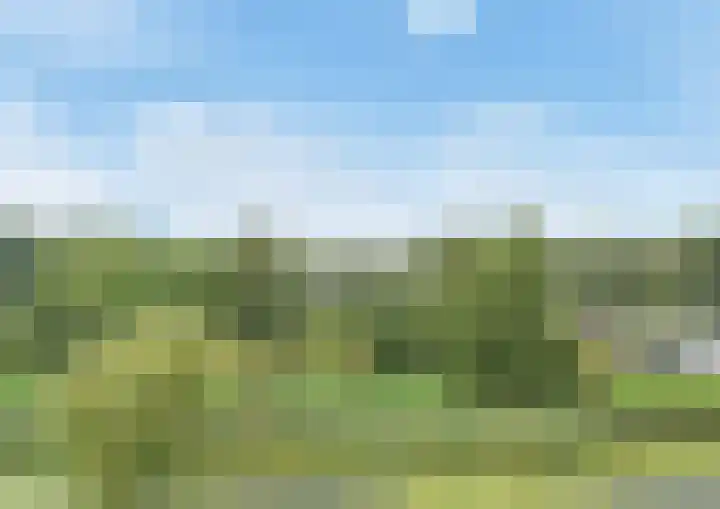 Rottekade 210 Bergschenhoek thumbnail 61