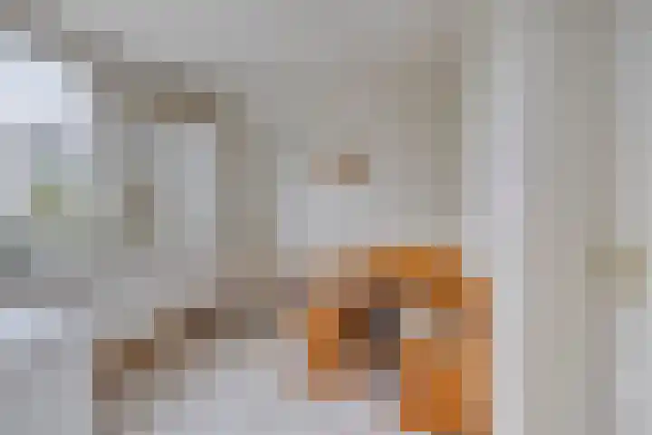 Rottekade 35 a Bergschenhoek thumbnail 10