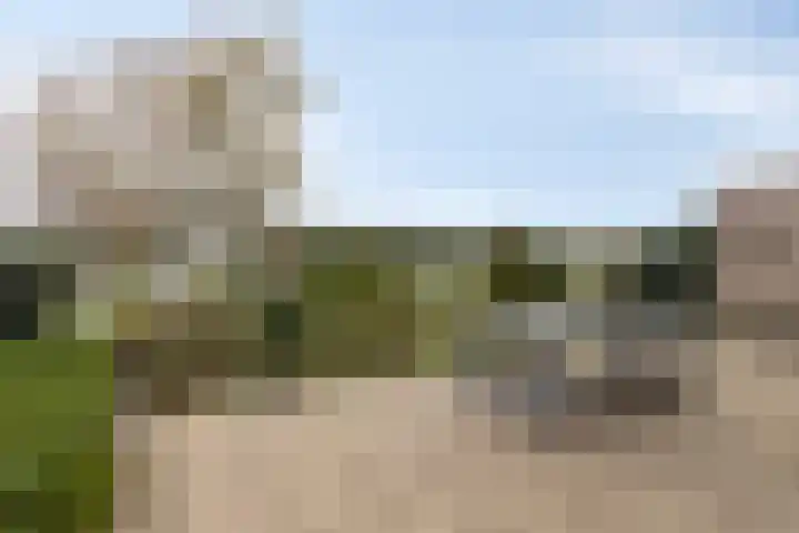 Rottekade 35 a Bergschenhoek thumbnail 15