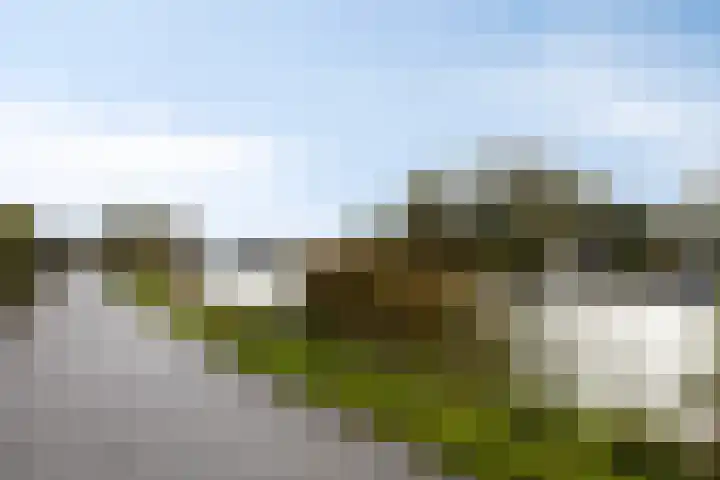 Rottekade 35 a Bergschenhoek thumbnail 29