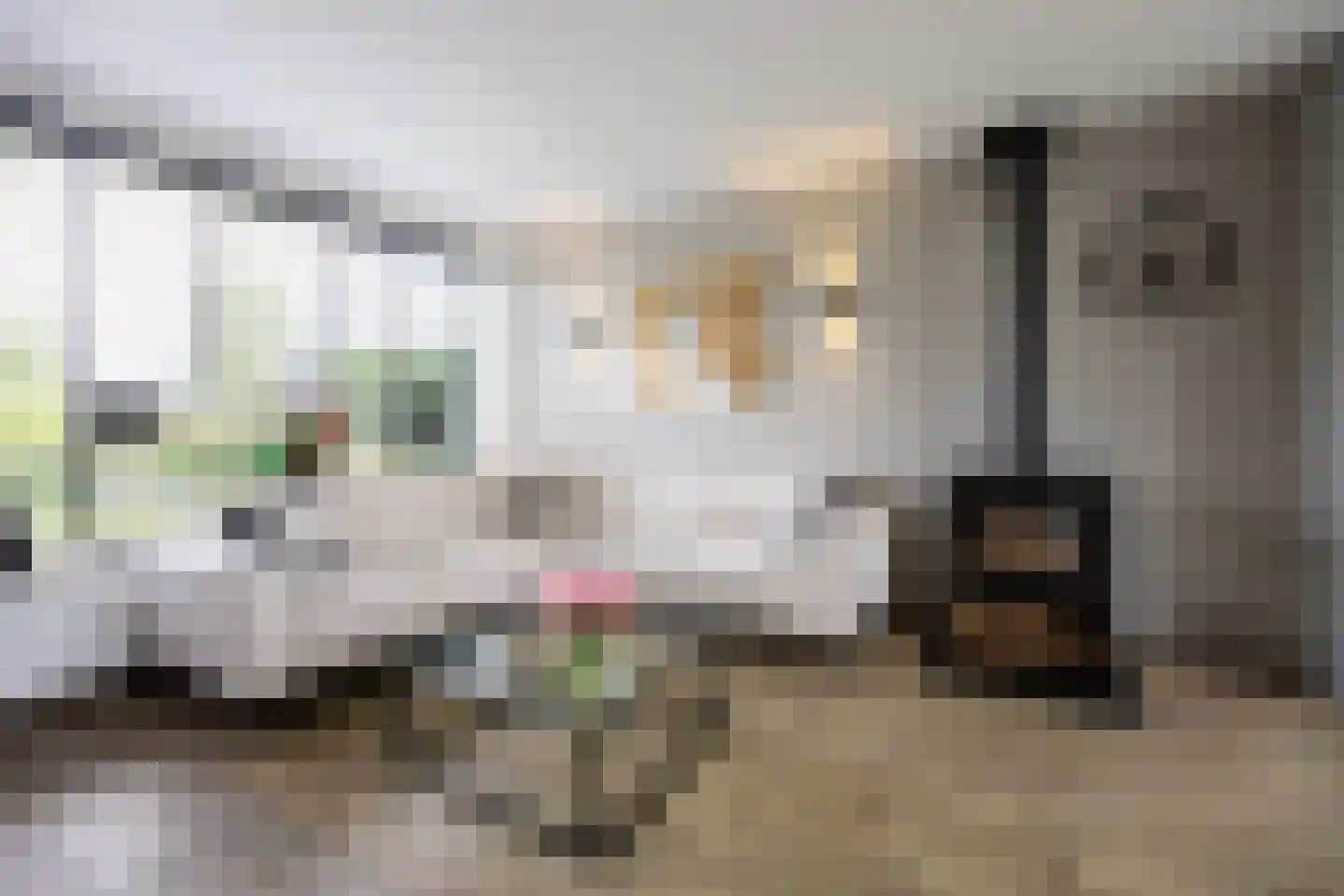 Rottekade 88 Bergschenhoek thumbnail 16