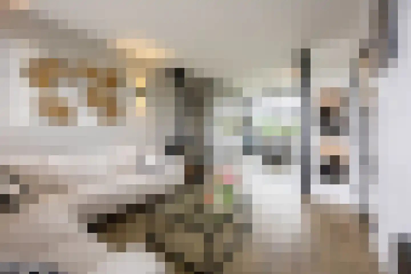 Rottekade 88 Bergschenhoek thumbnail 17