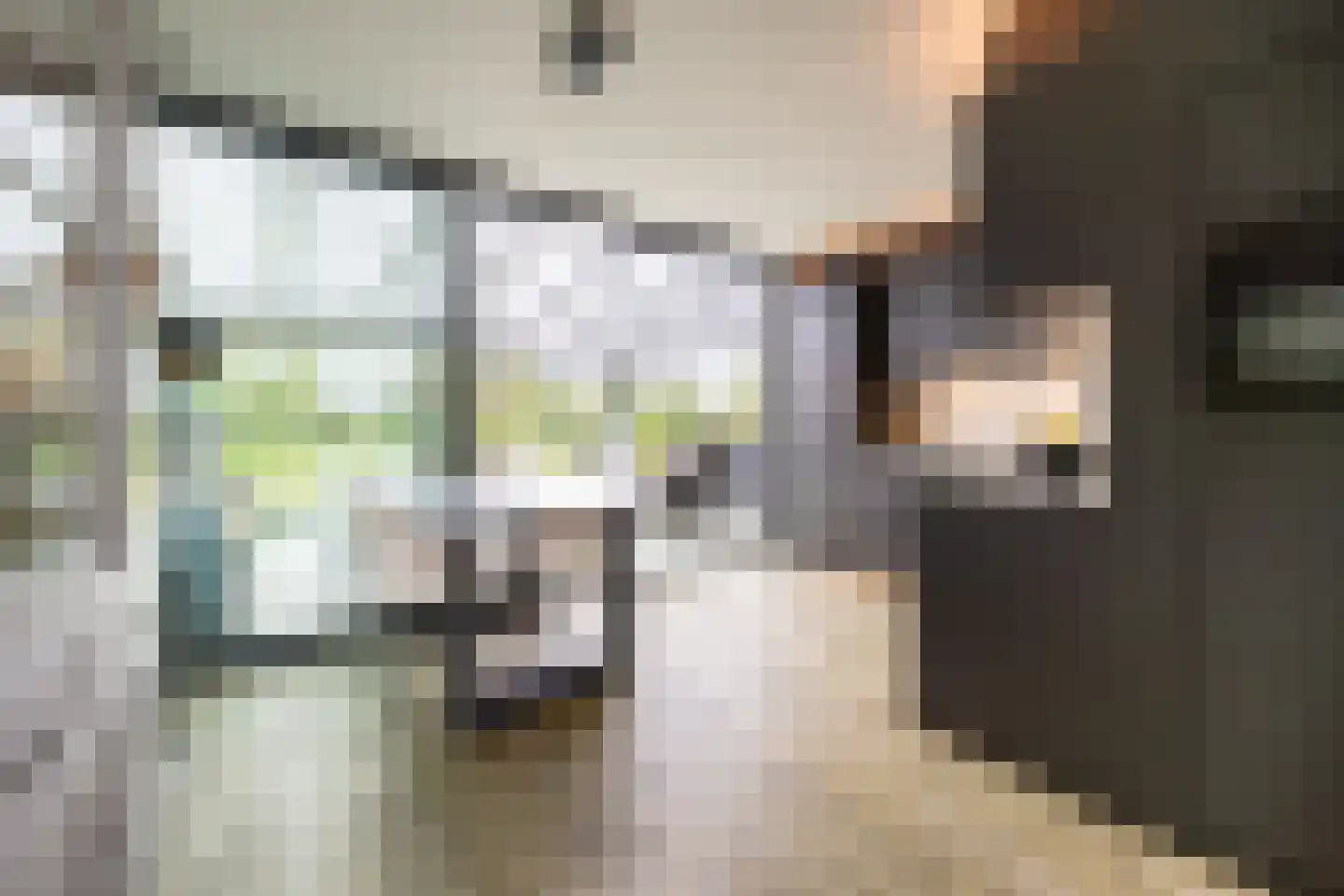 Rottekade 88 Bergschenhoek thumbnail 24