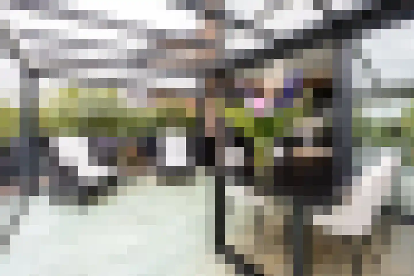 Rottekade 88 Bergschenhoek thumbnail 29