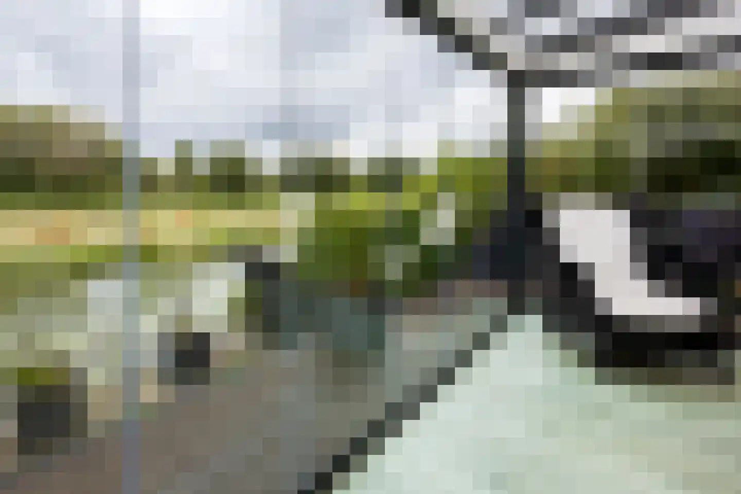 Rottekade 88 Bergschenhoek thumbnail 30