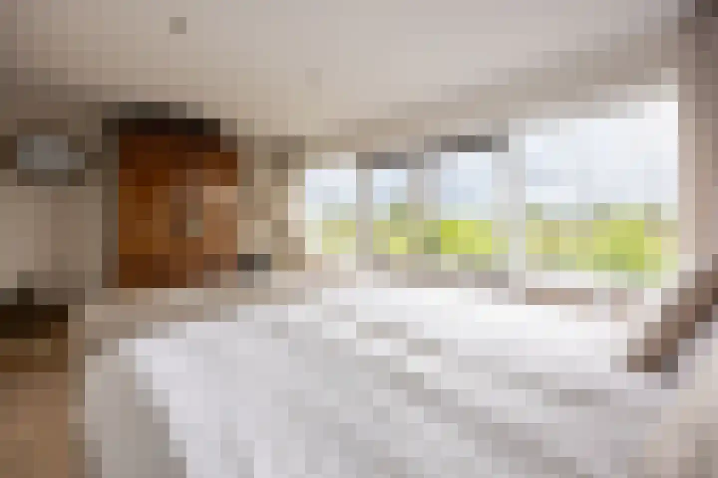 Rottekade 88 Bergschenhoek thumbnail 34