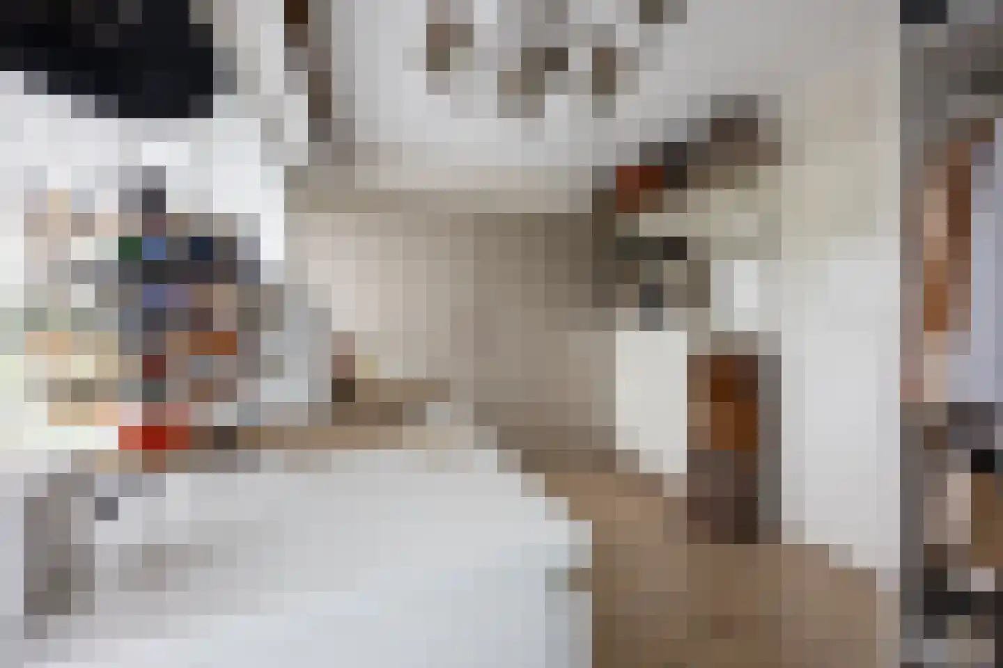 Rottekade 88 Bergschenhoek thumbnail 37