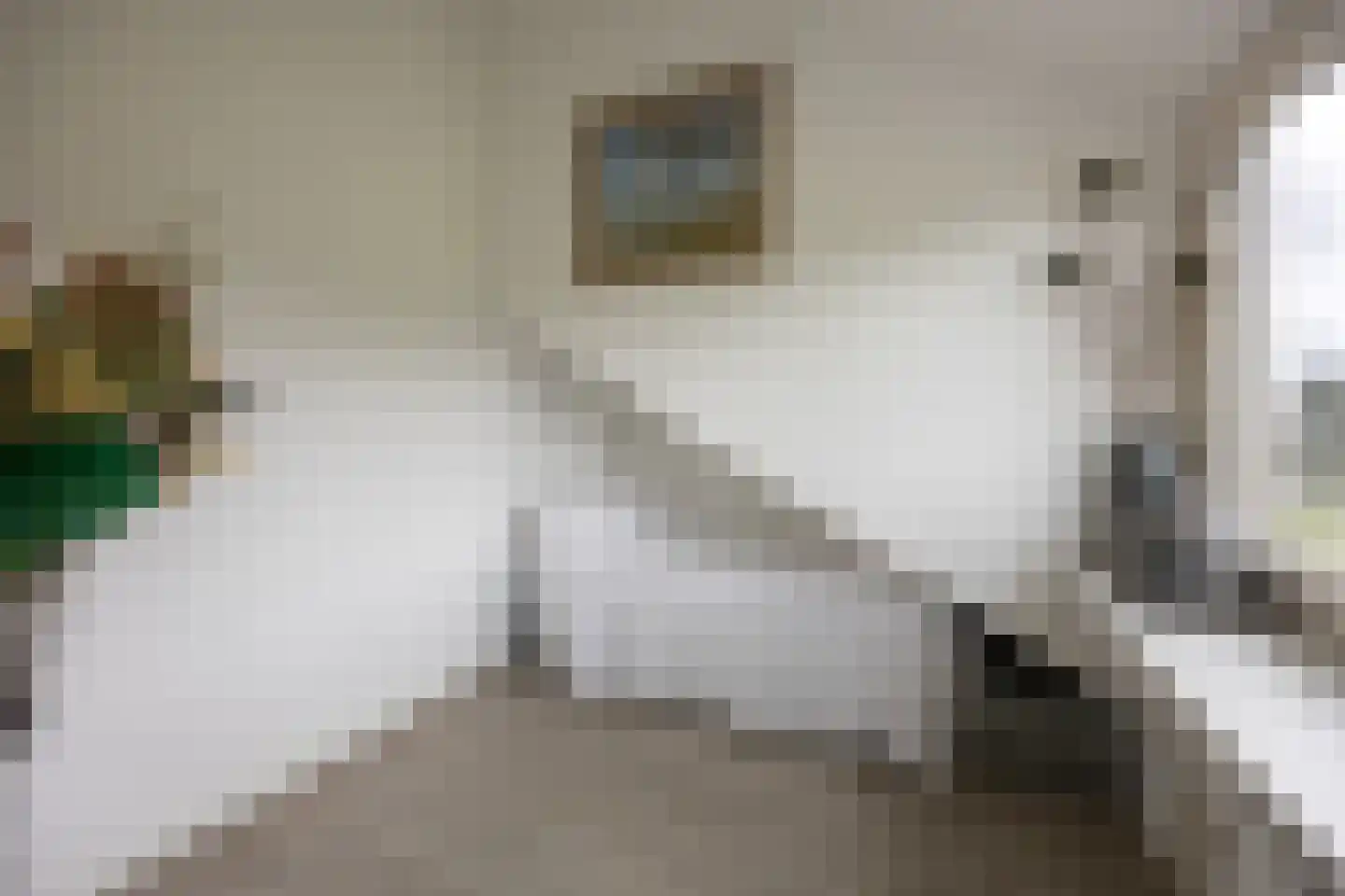 Rottekade 88 Bergschenhoek thumbnail 39