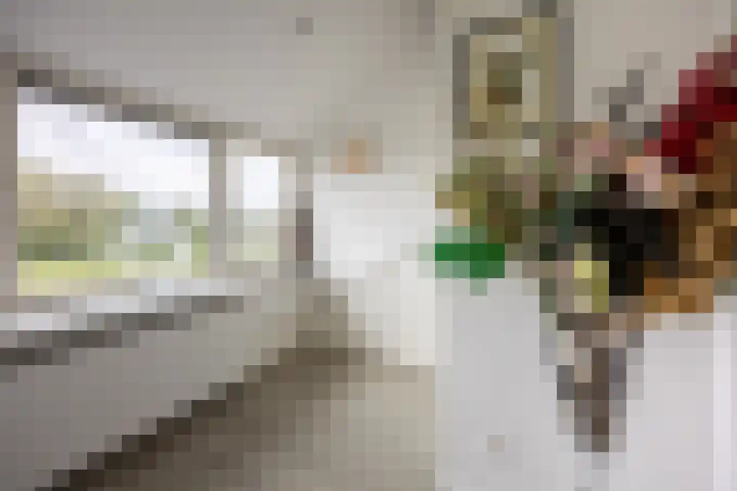 Rottekade 88 Bergschenhoek thumbnail 40