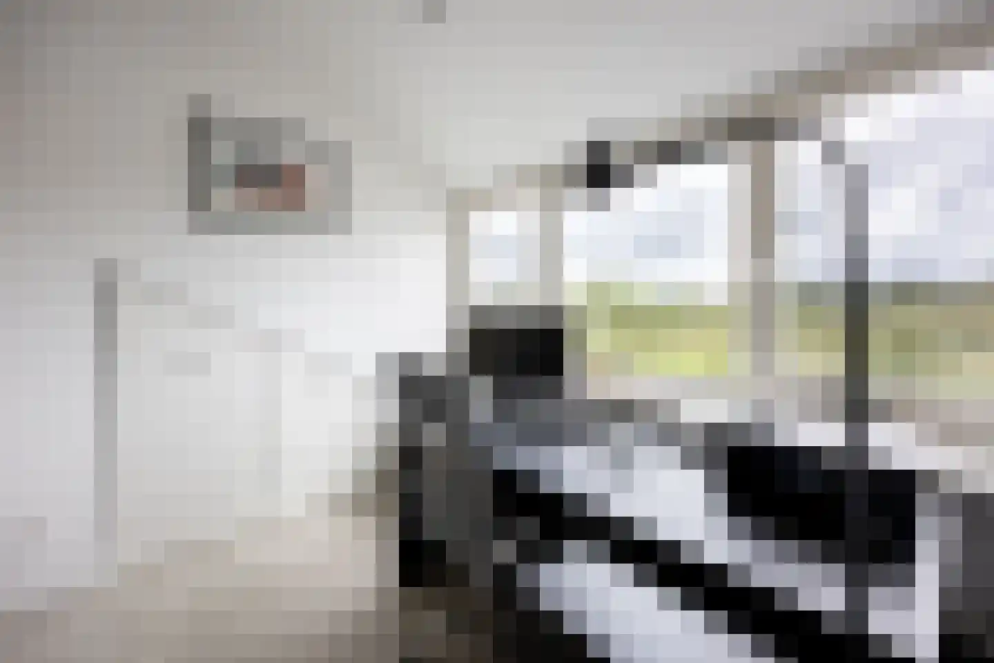Rottekade 88 Bergschenhoek thumbnail 41
