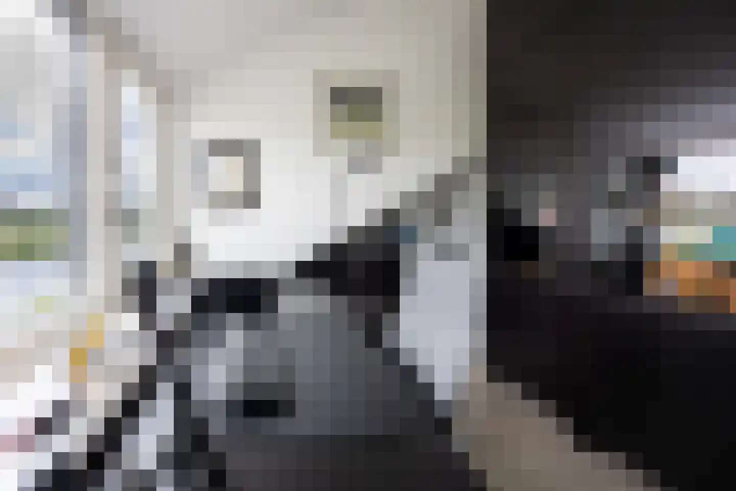 Rottekade 88 Bergschenhoek thumbnail 42